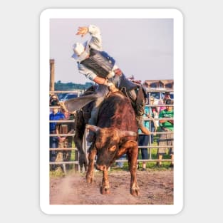 Bull rider Sticker